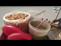 Indian panipuri  dream street food