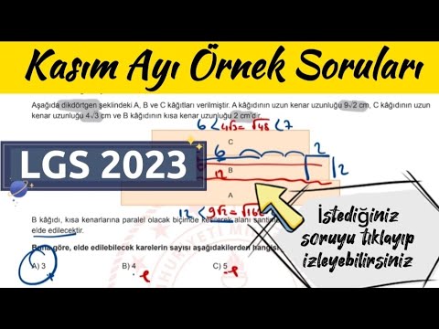 Kasım ayı örnek soruları LGS 2023 / LGS Kasım Ayı Örnek Soruların Çözümleri