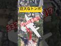 【怖すぎる】東京タワーのてっぺんに巨大なトンボが着陸！？ #MSFS #microsoftflightsimulator #飛行機 #PS5 #shorts