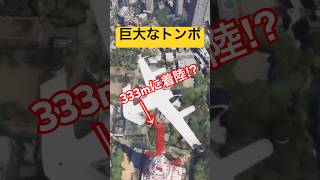 【怖すぎる】東京タワーのてっぺんに巨大なトンボが着陸！？ #MSFS #microsoftflightsimulator #飛行機 #PS5 #shorts