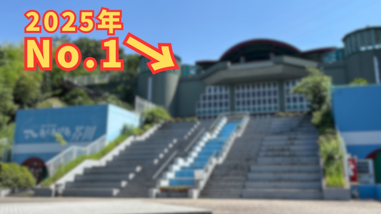 【年間ランキング】今年いちばん見られた動画はこれ！再生数トップ5を大公開！！