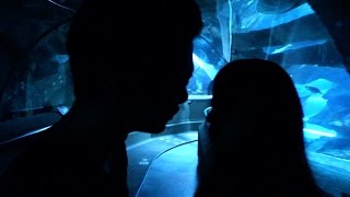 SHOWREEL 2016