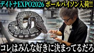 All Our Snakes!】100 Snakes Challenge! | ｜Ball Python Morph List