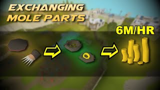 The Best Money Maker In OSRS That Ive Tried (6M/HR)
