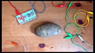 MaKey MaKey - Banana Piano and Potato Bongos