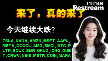 Anna聊美股实盘   危险，今天继续跌吗？重点解读清单TSLA,NVDA,META,GOOGL,AMD,SMCI,INTC,PLTR,SOLX,#tsla #nvda #trading