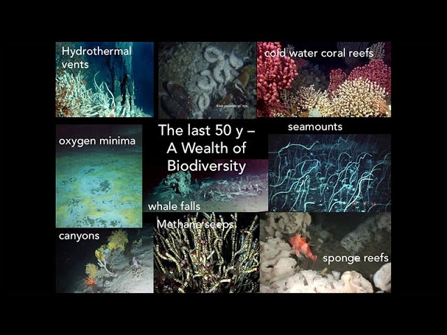 Seabed Mining in the Deep Sea
