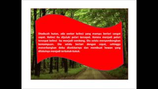 Kelinci dan kura kura