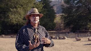 P-22 Presents...Indigenous Voices with Steven Garcia