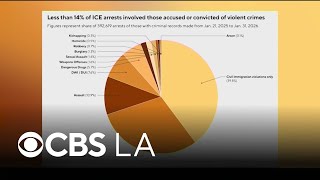 Less than 14% of those arrested by ICE had violent criminal records, DHS records show