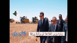 موسم الحصاد 2026 بالجزائر .. شاهد زيارة وزير الفلاحة السيد ياسين وليد  الى ولاية ورقلة