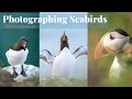 Wildlife Photography Vlog | Photographing Seabirds at RSPB Fowlsheugh, Scotland