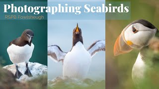 Wildlife Photography Vlog | Photographing Seabirds at RSPB Fowlsheugh, Scotland
Wildlife Photography Vlog | Photographing Seabirds at Fowlsheugh RSPB Reserve Scotland. An amazing morning of photographing species like guillemot, razorbill, puffin, kittiwake and herring gull.
Photos and Settings in my Blog Post: https://espenhelland.com/photographing-seabirds-in-scotland/
πΌ Selected Prints now available: https://www.espenhelland.com/gallery
Resources
π Patreon | Videos, Challenges, Live Check-ins and Chat Forum https://www.patreon.com/espenhelland
π 1:1 Call | Zoom chat | Tips | Wildlife Photography Feedback or How to Monetise your Photography
https://www.espenhelland.com
π https://espenhelland.com/gear/ (Gear I use for Wildlife Photography & Vlogging)
π https://topazlabs.com/shop/ref/383/ (DeNoise your Photos with Topaz 30-day free trial)
π https://bit.ly/3fYzKT9 (Vallerret Photography Gloves)
π https://vidiq.com?afmc=7cp (VidIQ for YouTube Resources)
Social Media
Instagram https://instagram.com/espenhelland/
Facebook https://www.facebook.com/espenhellandphotography/
Twitter https://twitter.com/EspenHelland7
Music from Epidemicsound:
https://www.epidemicsound.com/referral/pahgo4/ Wildlife Photography Vlog | Photographing Seabirds at RSPB Fowlsheugh, Scotland