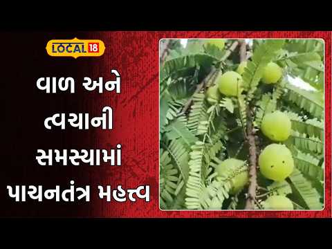 Health News|વાળ અને ત્વચાની સમસ્યામાં પાચનતંત્ર મહત્ત્વનું, ડૉ પાયલ ચુડાસમાએ આપ્યા આયુર્વેદિક ઉપાયો