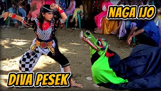 BARONGAN NAGA IJO DAN CAKILAN DIVA PESEK || FULL JANTURAN EBEG CANDRA PUSPITA