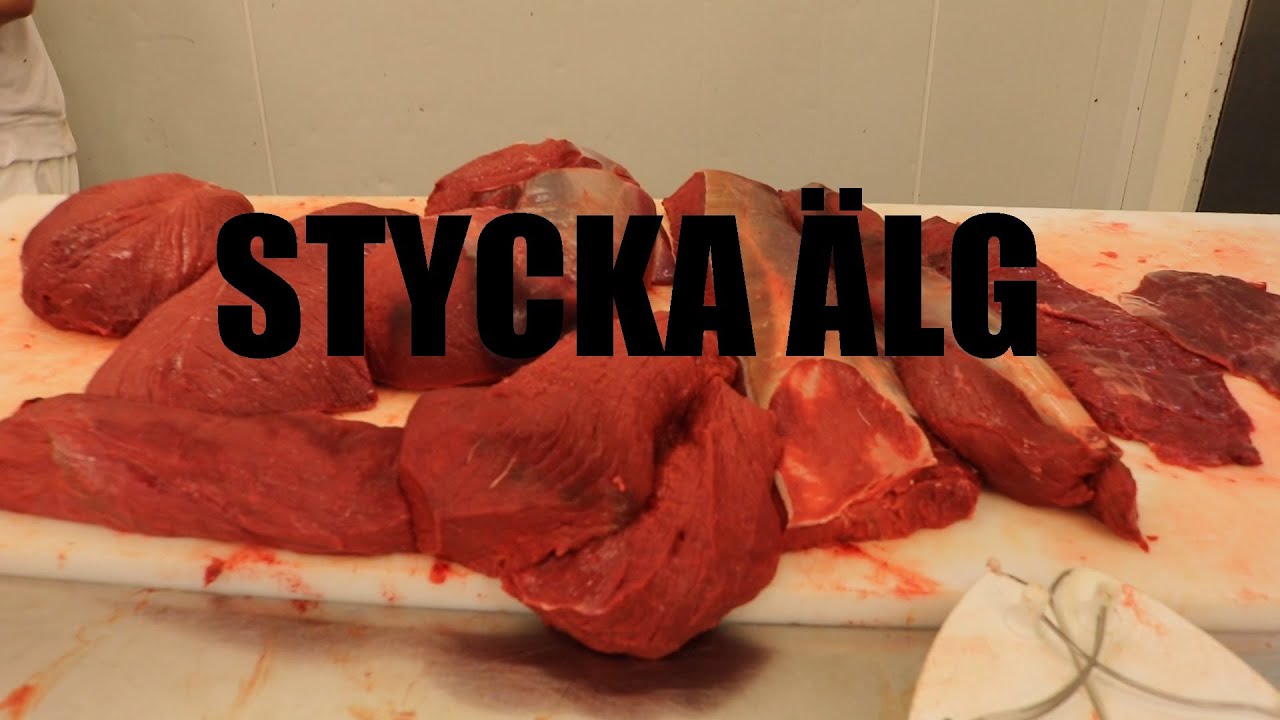 Hur Man Styckar En Hel Älg-Bakpart | Snacka Kött
