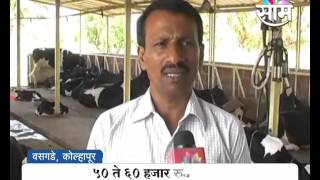 Sucess Story of Shinde Family : Milk Production as Side Business in Kolhapur