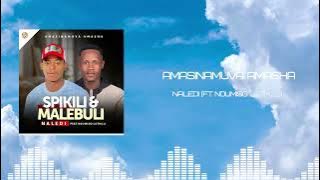 Amasinamuva Amasha feat. Ndumiso Luthuli - Naledi (Visualizer)