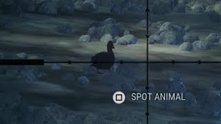 How To Beat Featherwork Art in COTW (Peru Notice Board)