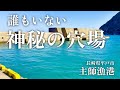 【主師漁港・長崎県平戸市・海中映像】見た事もない美し過ぎる海の漁港を見つけた！人もいない穴場の釣り場だ。こんな綺麗な海は中々見れるもんじゃないぞ#243 福岡釣部 in 福岡・糸島・北九州・広島・岡山