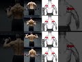 Homeworkout for shredded back 🥵🥵#homeworkout #backworkout #workout