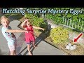 Mystery Eggs Found by Pool Hatch!!! Hatchimals Mystery Eggs! (New Pets)