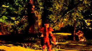 Darkfall Online Environmental Sounds Trailer153