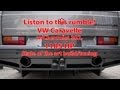 VW Caravelle V8 Twin-turbo, 1.105 HP/1.311 Nm
