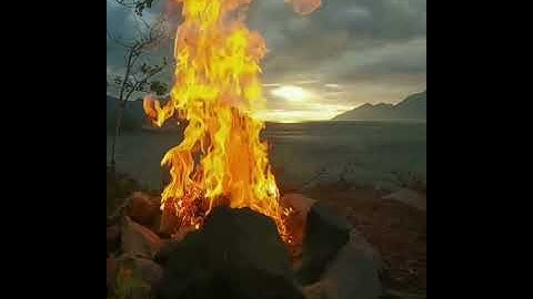 جهنم يصلونها وبئس القرار #تلاوات_خاشعة