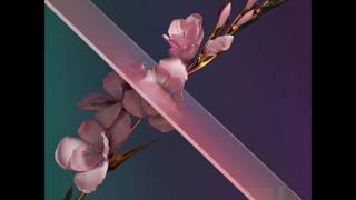 Flume -  Never Be Like You Feat Kai (Full Extended Remix)