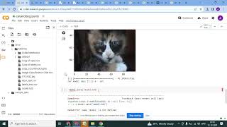 Cat & Dog Classification using Convolutional Neural Network in Python   (Contact us : 7356587328)
