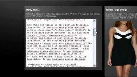 Template Action - Flash Sites Admin Panel Demo