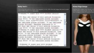 Template Action - Flash Sites Admin Panel Demo