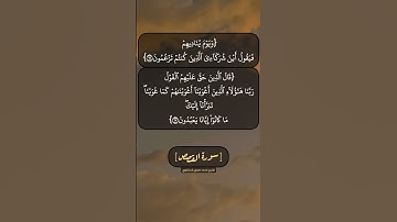 سورة القصص الآية ٦١ الى ٦٣ بصوت الشيخ محمد صديق المنشاوي