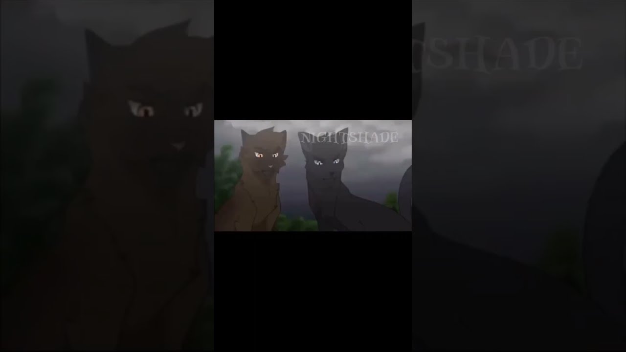 Klonowy Cie Warriorcats Wojownicy Ksi Ka Wgorachjestwszystkocokocham Koty