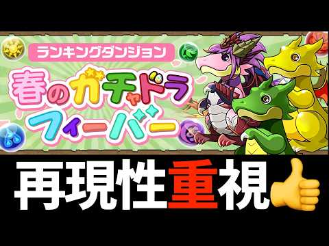 【ガチャドラフィーバー】5万点のコツ解説！28万MP、式神確定ガチャ×2、魔法石20個程度などを回収するぞおおおおお【パズドラ】