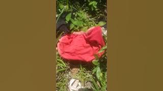 cawet dan beha bekas berserakan dikebun hutan