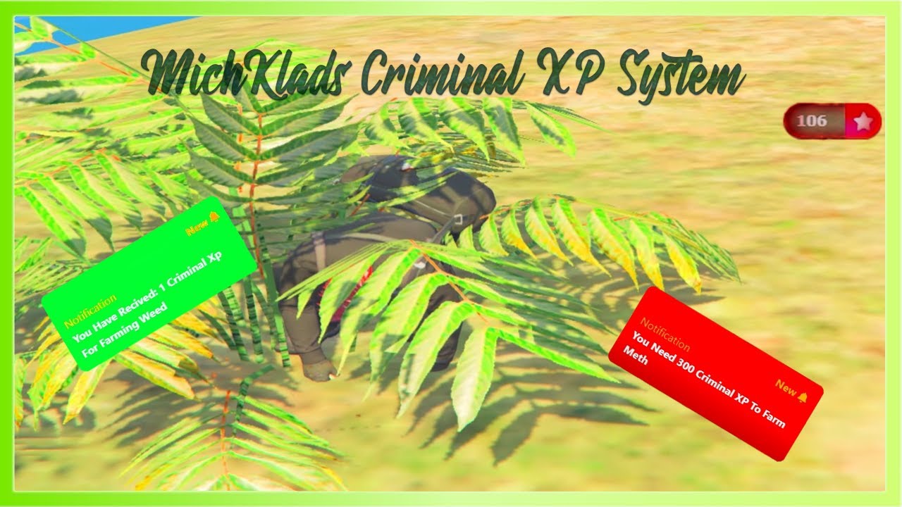 Criminal XP System