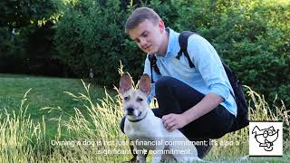 The Cost and Time Commitment of Owning a Dog