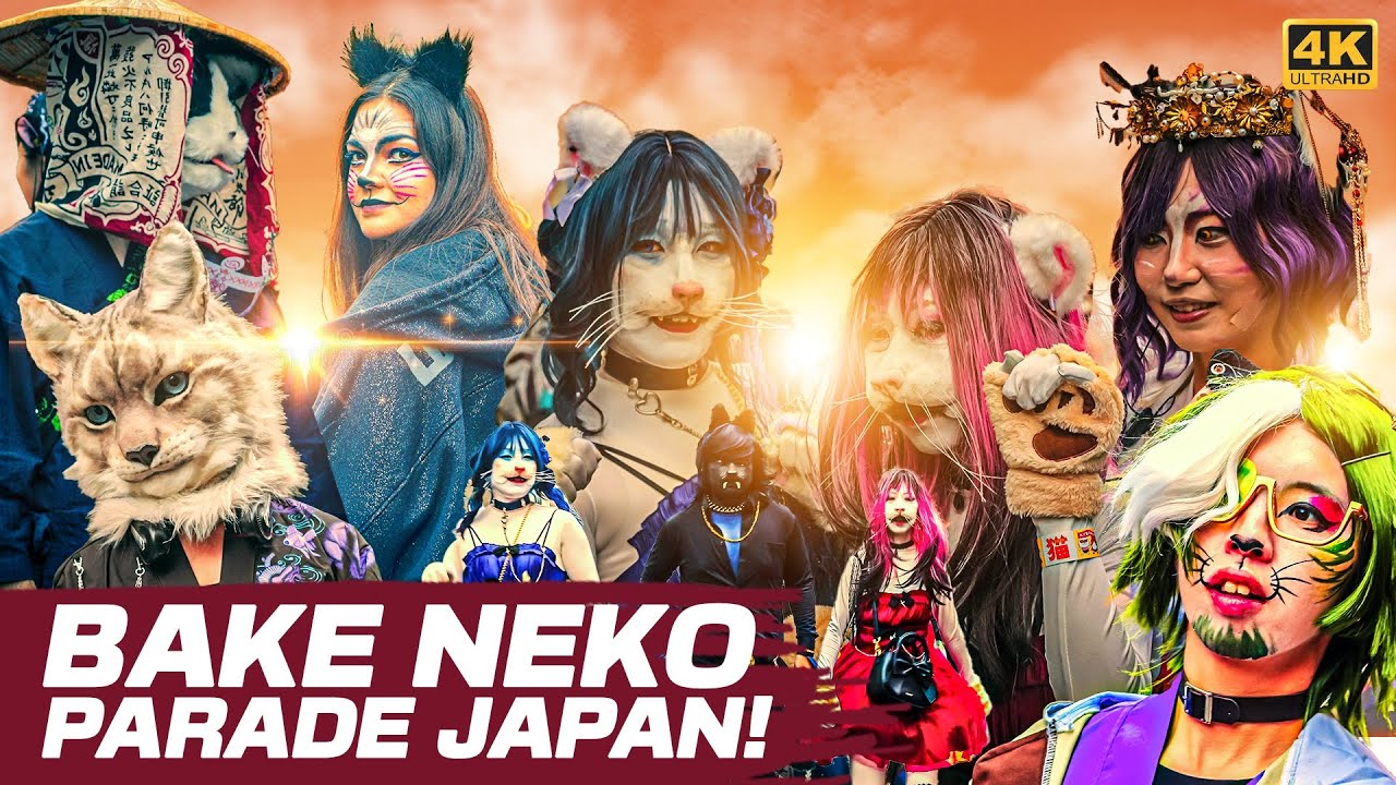 [4K] Kagurazaka Bake Neko Festival 2025 | Tokyo’s Cat Parade 🐈 #travelwithkanchan
