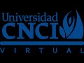 PROYECTO INTEGRADOR