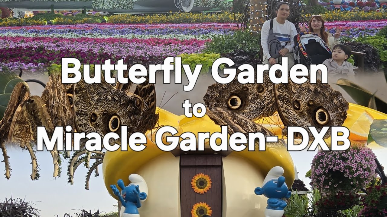Dubai’s Butterfly & Miracle Gardens: A Day Full of Wonders! | TravelVlog2 | TripleLifeAdventures