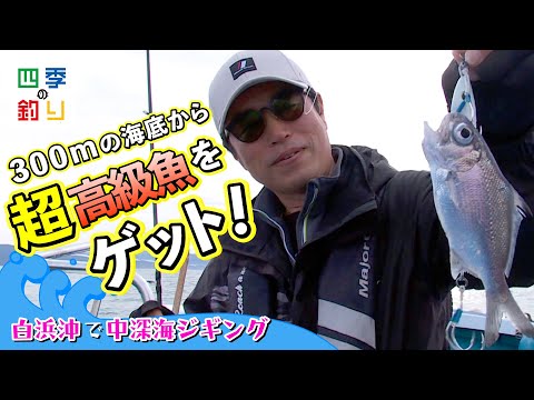 白浜沖で中深海ジギング 300mの海底から超高級魚をゲット