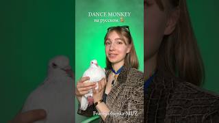 "DANCE MONKEY" на РУССКОМ! TONES AND I #музыка #песни #песня #cover