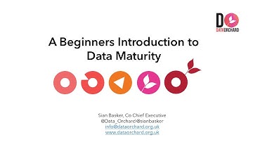 A Beginners Introduction to Data Maturity