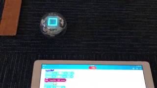 Celebrity Making a Square with Sphero BOLT Net Worth