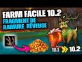 Un max de po avec le fragment de ramure du patch 102 wow dragonflight