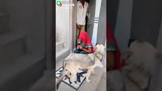 Sasur Jamie Àur Bahu Is Maza