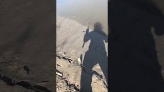 This was a pretty cool watch to knock off the fish list #fishing #povfishing #nebraska