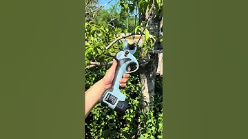 Electric Pruning Shears for Fruit Tree Branch Cutting #PruningShears #ElectricPruner #GardenTools